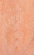 CARDIGAN INFANTIL FEMININO PELINHO CORES - FÁBULA na internet