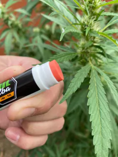 Bálsamo Labial Reparador