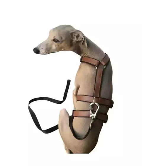 Guia com Mosquetão rosqueável