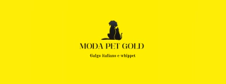 Moda Pet Gold Galgos
