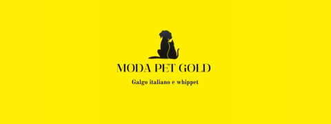 Moda Pet Gold Galgos