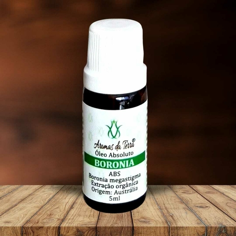 Óleo Absoluto de Boronia (ABS) - 5ML - comprar online