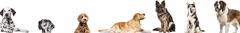 Banner de la categoría Casas grandes