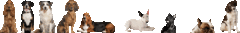 Banner de la categoría Casas Medianas 