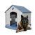 Casa Para Perro Q Perrón Raza Grande Con Puerta Color Azul