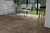 Cortines - Legno Lenga - 30x45 - 1ra - comprar online