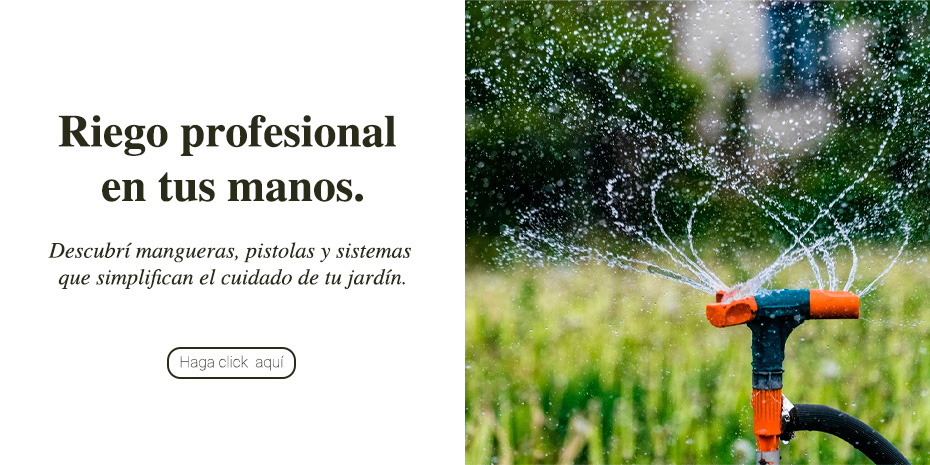 Banner de Las Cuatro Estaciones