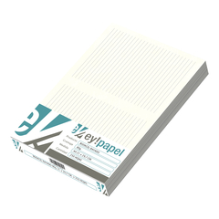 BOOKCEL RAYADO A4