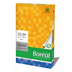 Resma Boreal 22x34 cm de 70grs. 500 Hjs