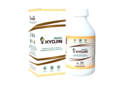 KYOJIN PROBIÓTICOS AGUA CON AROMA A LIMÓN - comprar online