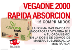 VEGAONE 2000 - GEONAT