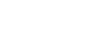 Eleve