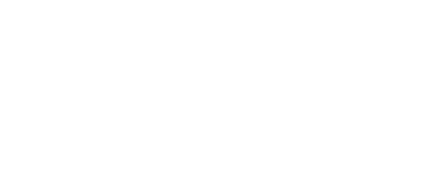 Eleve