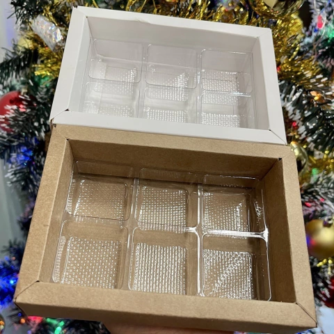 5 Caixas Vision 6 Cavidades e Borda