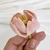 Cortador de Flor Tulipa Lisa na internet