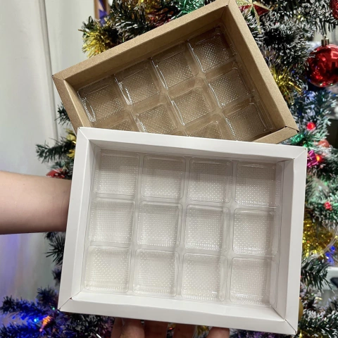 5 Caixas Vision 12 Cavidades e Borda