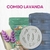 Combo Lavanda
