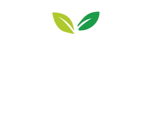 Amazon Artesanal