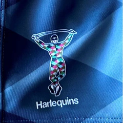 Short Harlequins en internet