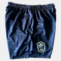 Short Wales en internet