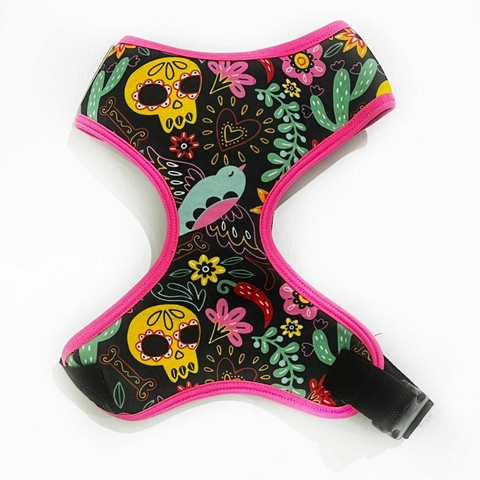 Pechera