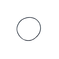 Anel Oring - 1600210035 - Bosch