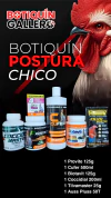 KIT POSTURA CHICO