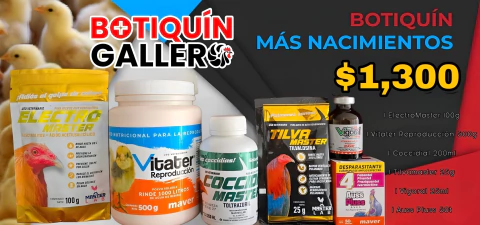 Imagen del carrusel BotiquinGallero