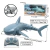 Tubarão Controle Remoto Sem Fio Shark a Prova D’Água DMT0290 - Dm Toys