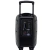 Caixa de Som Amplificada Soundvoice Lite CA-120 12" 100W RMS Bluetooth Bateria USB FM Microfone Bivolt - comprar online