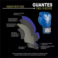 Guantes Classics Azules Logo Blanco - Dragons Fit-Box