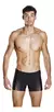 Boxer Natación Speedo Fit Powermesh Pro Hombre Powerflex+ NEGRO