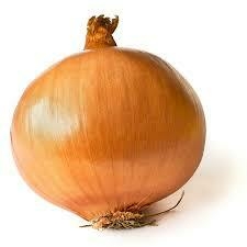 Cebolla