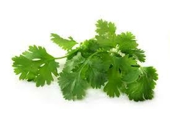 Cilantro por paquete