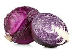 Repollo