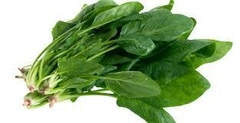 Espinaca