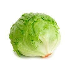 Lechuga
