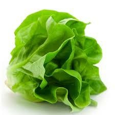 Lechuga - Verduleria Lamadrid