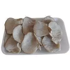Girgolas