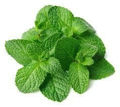 Menta