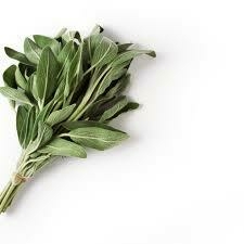 Salvia por paquete