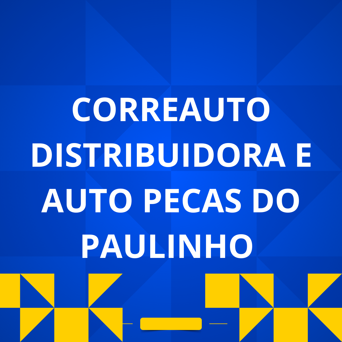 AUTO PEÇAS DO PAULINHO 