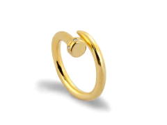 Anel Prego com Zircônia