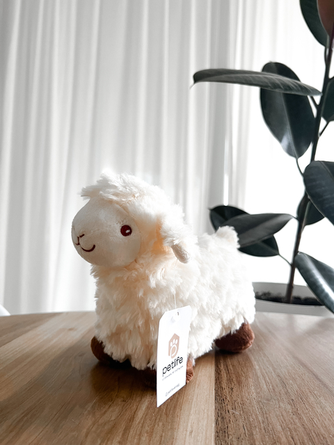 Little Sheep Andorra