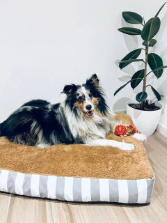 Cama Capri Arena - PETLIFE STORE