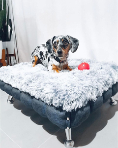 Cama Alaska Grey Blue