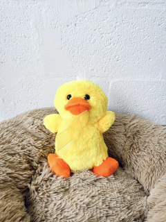 Little Duck Yellow