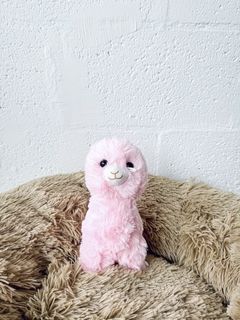 Little Alpaca Rosa