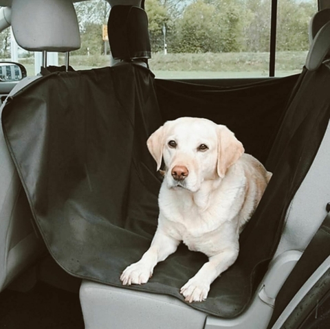 Pet Cover Funda para Auto