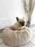 Imagen del carrusel PETLIFE STORE
